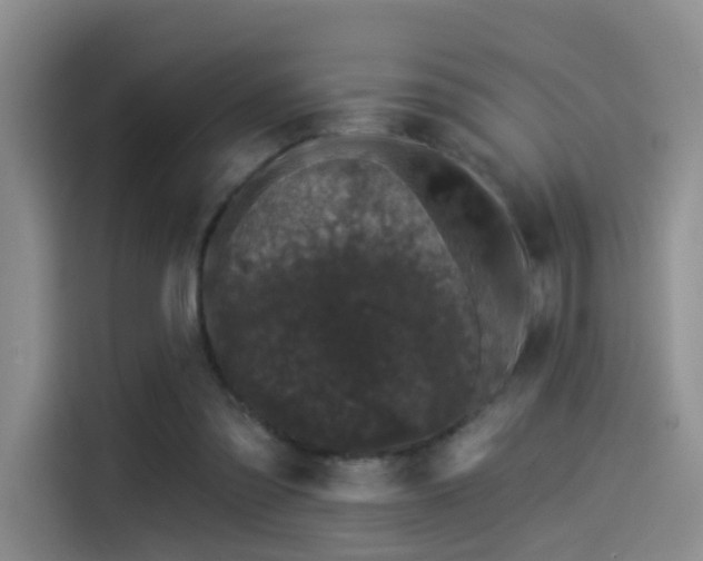 X0000114490301200910191236