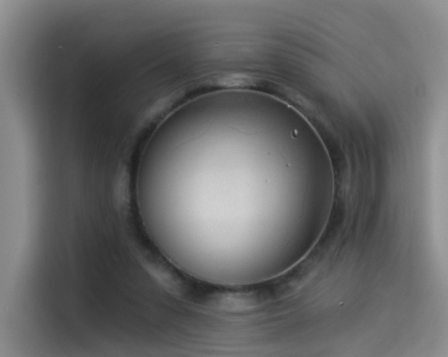 X0000114490303200910191236