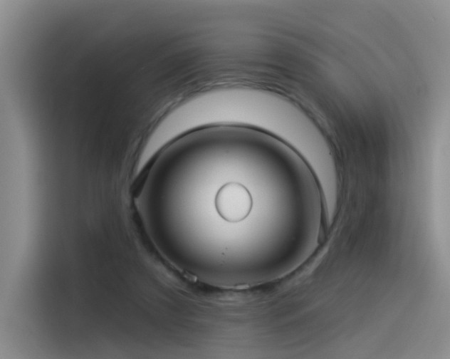 X0000114490305200910191236