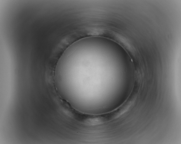 X0000114490307200910191236