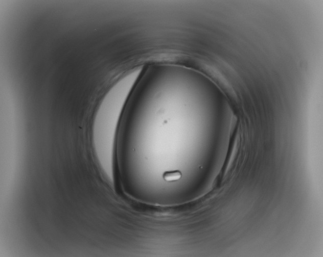 X0000114490309200910191236