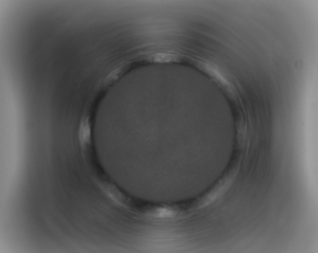 X0000114490310200910191236
