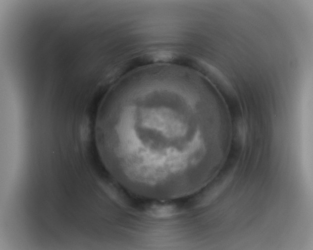 X0000114490311200910191236