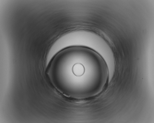 X0000114490313200910191236
