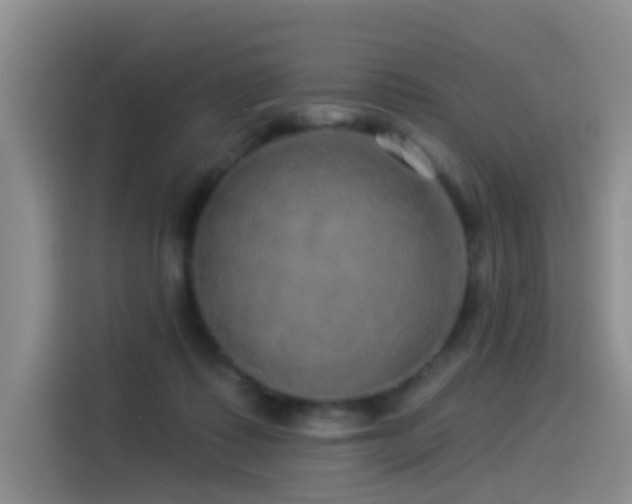 X0000114490315200910191236