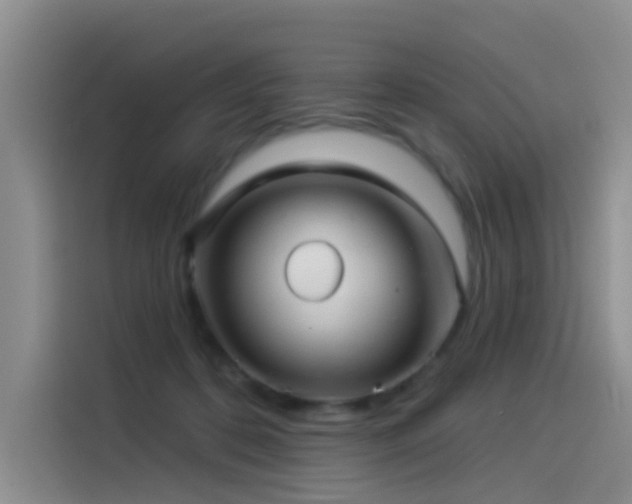 X0000114490316200910191236