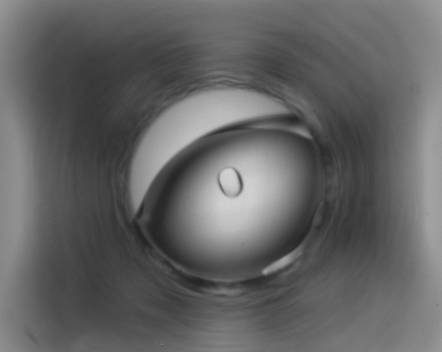 X0000114490317200910191236