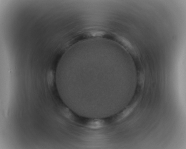 X0000114490321200910191236