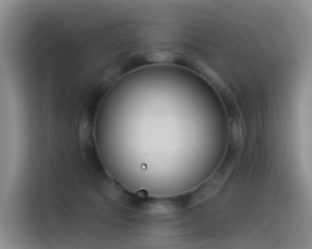 X0000114490322200910191236