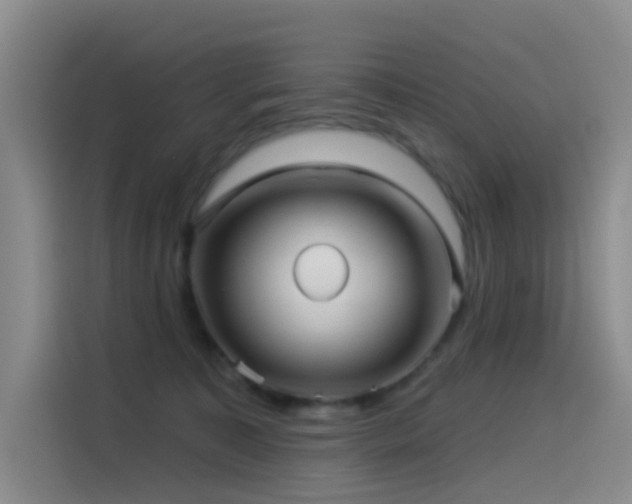 X0000114490323200910191236