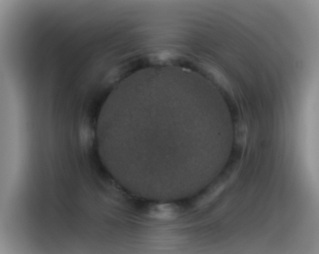 X0000114490324200910191236