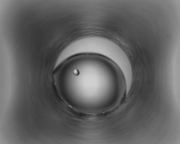 X0000114490325200910191236