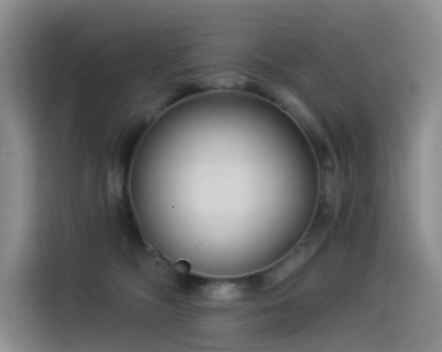 X0000114490326200910191236