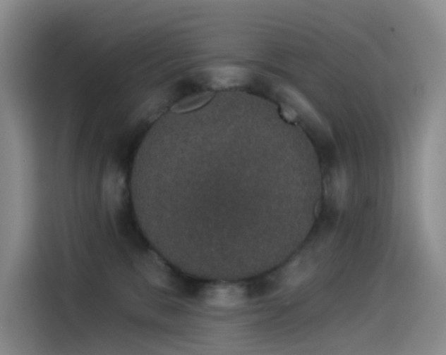 X0000114490327200910191236