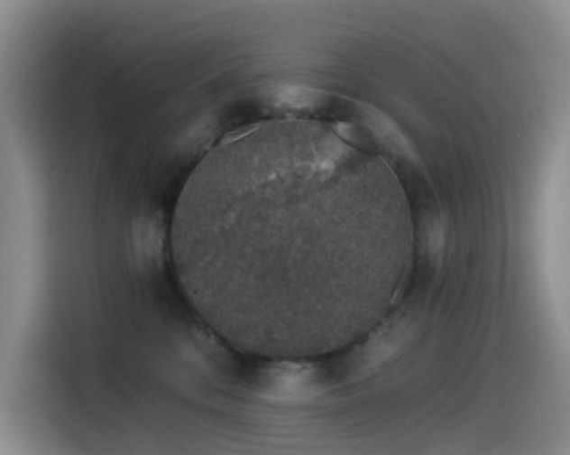 X0000114490328200910191236