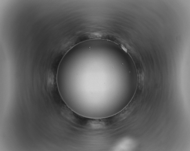 X0000114490331200910191236