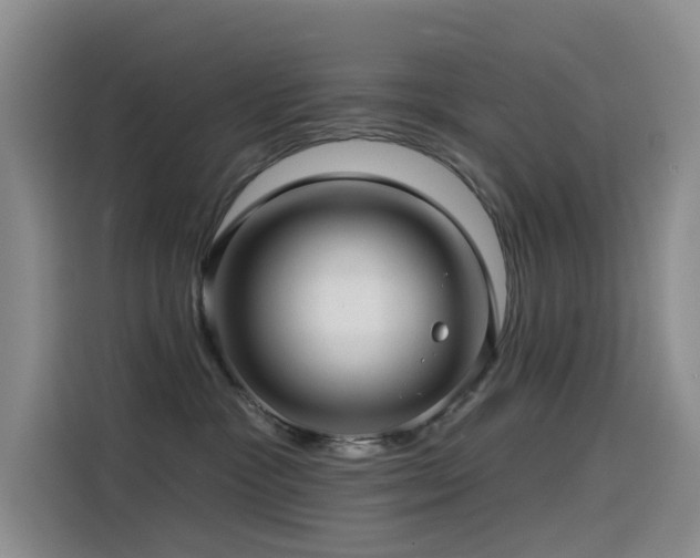 X0000114490333200910191236
