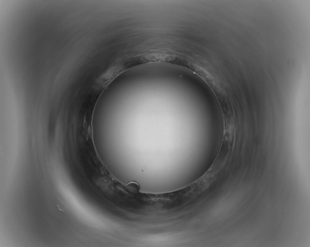 X0000114490334200910191236
