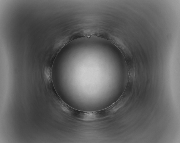 X0000114490335200910191236
