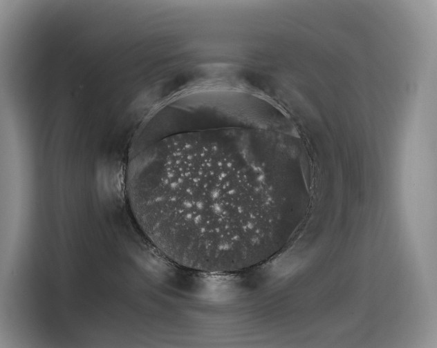 X0000114490336200910191236