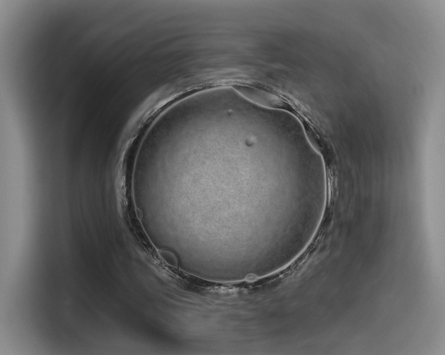 X0000114490339200910191235