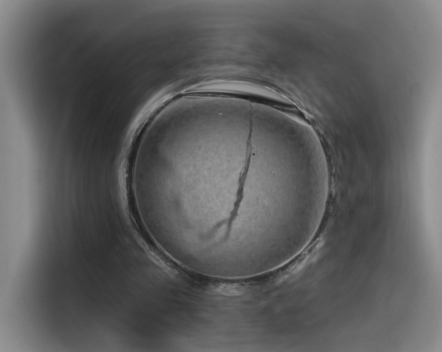 X0000114490341200910191235