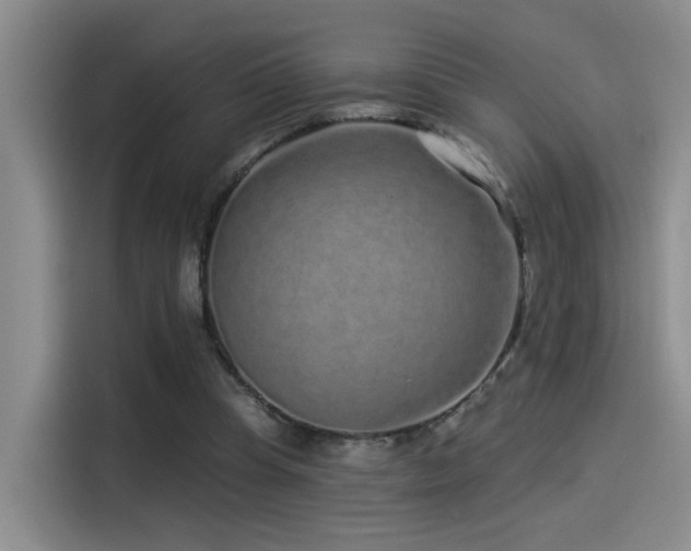X0000114490345200910191235