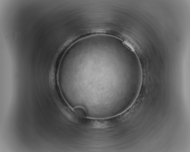 X0000114490346200910191235