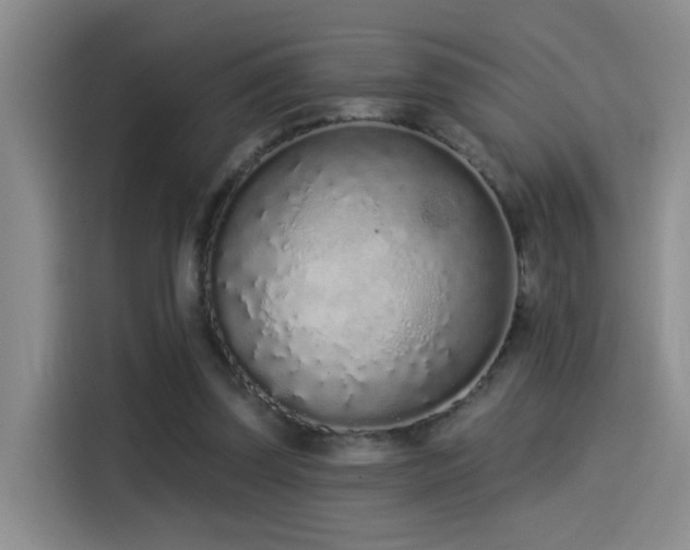 X0000114490347200910191235