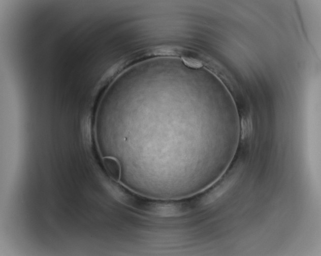 X0000114490349200910191235