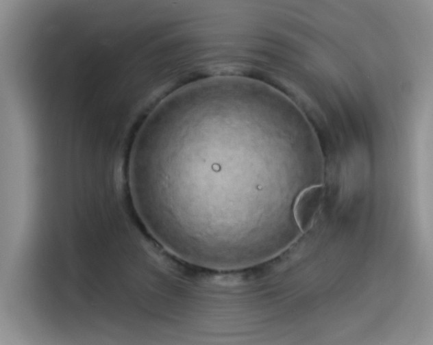 X0000114490353200910191235