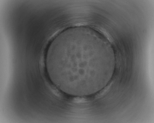 X0000114490354200910191235