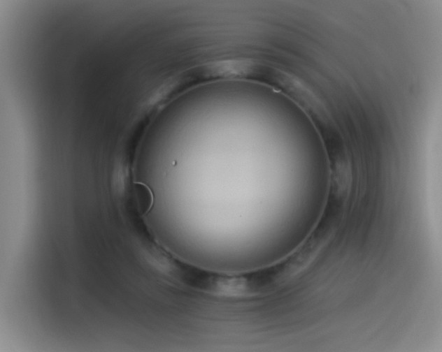 X0000114490355200910191235