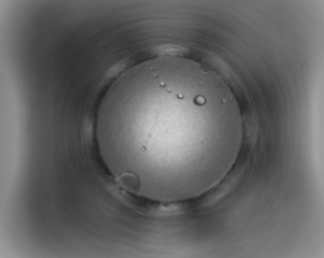X0000114490357200910191235