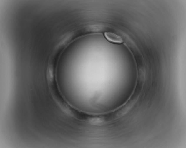 X0000114490358200910191235