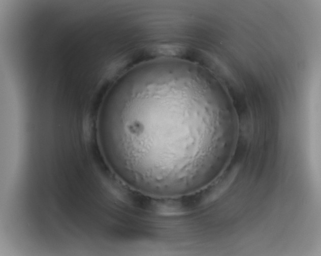 X0000114490359200910191235