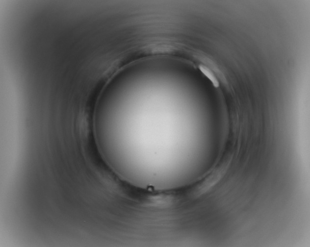X0000114490362200910191235