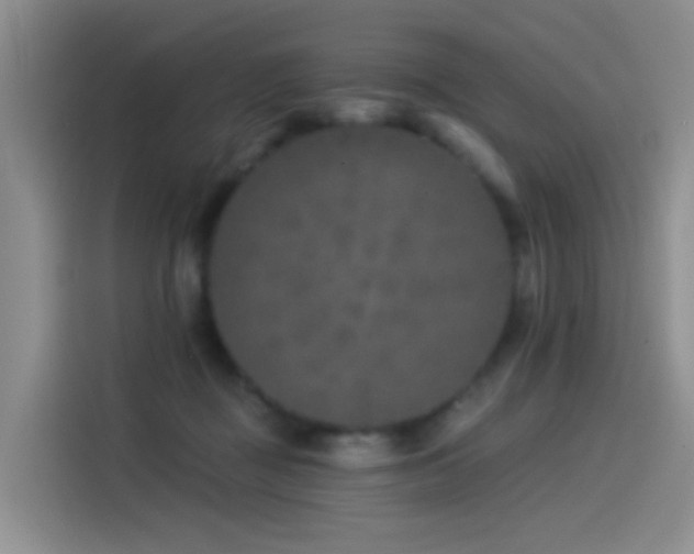 X0000114490363200910191235