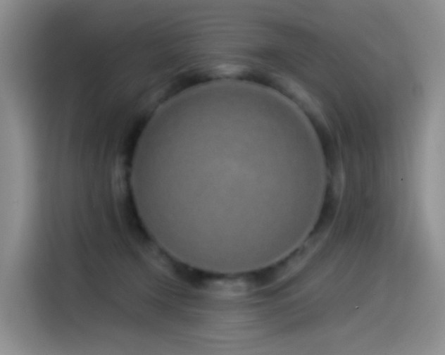 X0000114490366200910191235