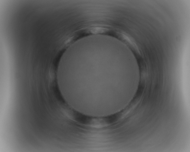 X0000114490367200910191235