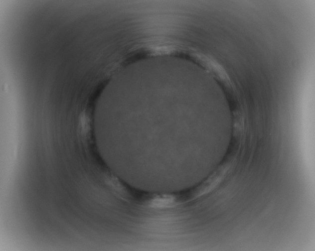 X0000114490369200910191235