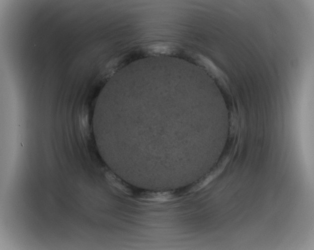 X0000114490377200910191236