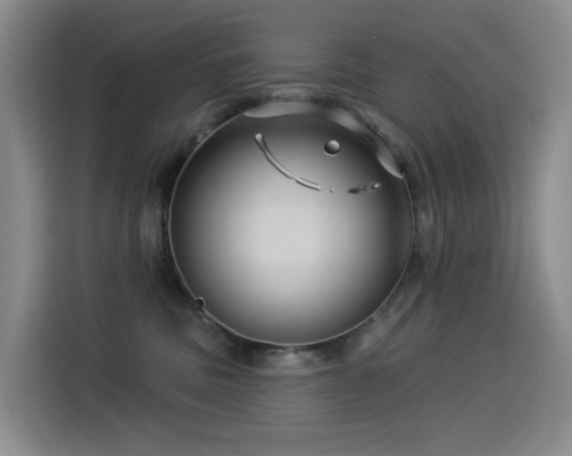 X0000114490379200910191236