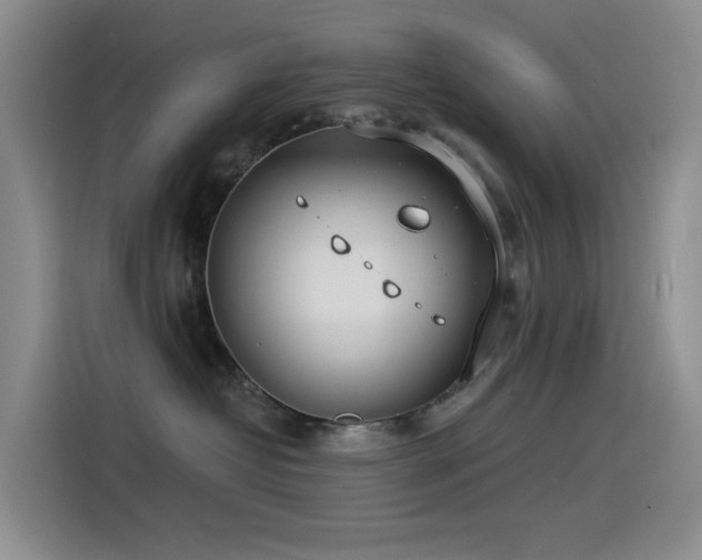 X0000114490382200910191236
