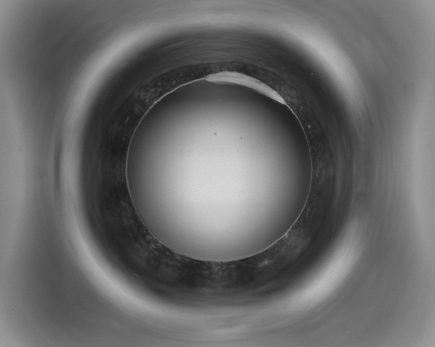 X0000114490383200910191236