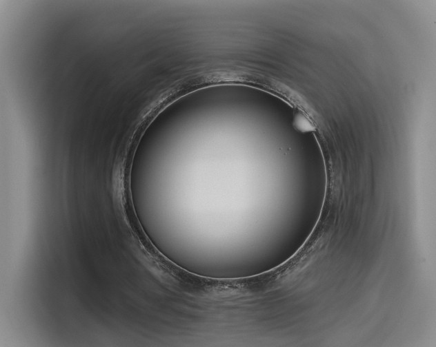 X0000114490386200910191235