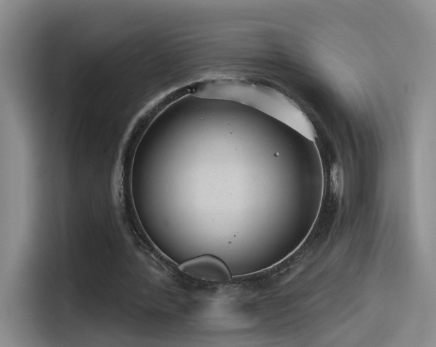X0000114490388200910191235