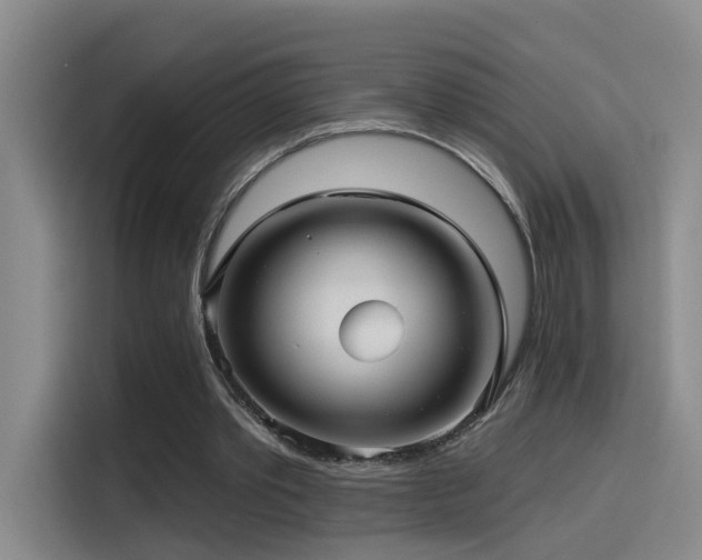 X0000114490389200910191235