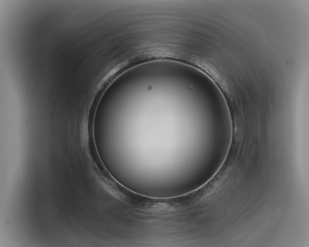 X0000114490390200910191235