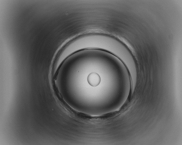 X0000114490391200910191235